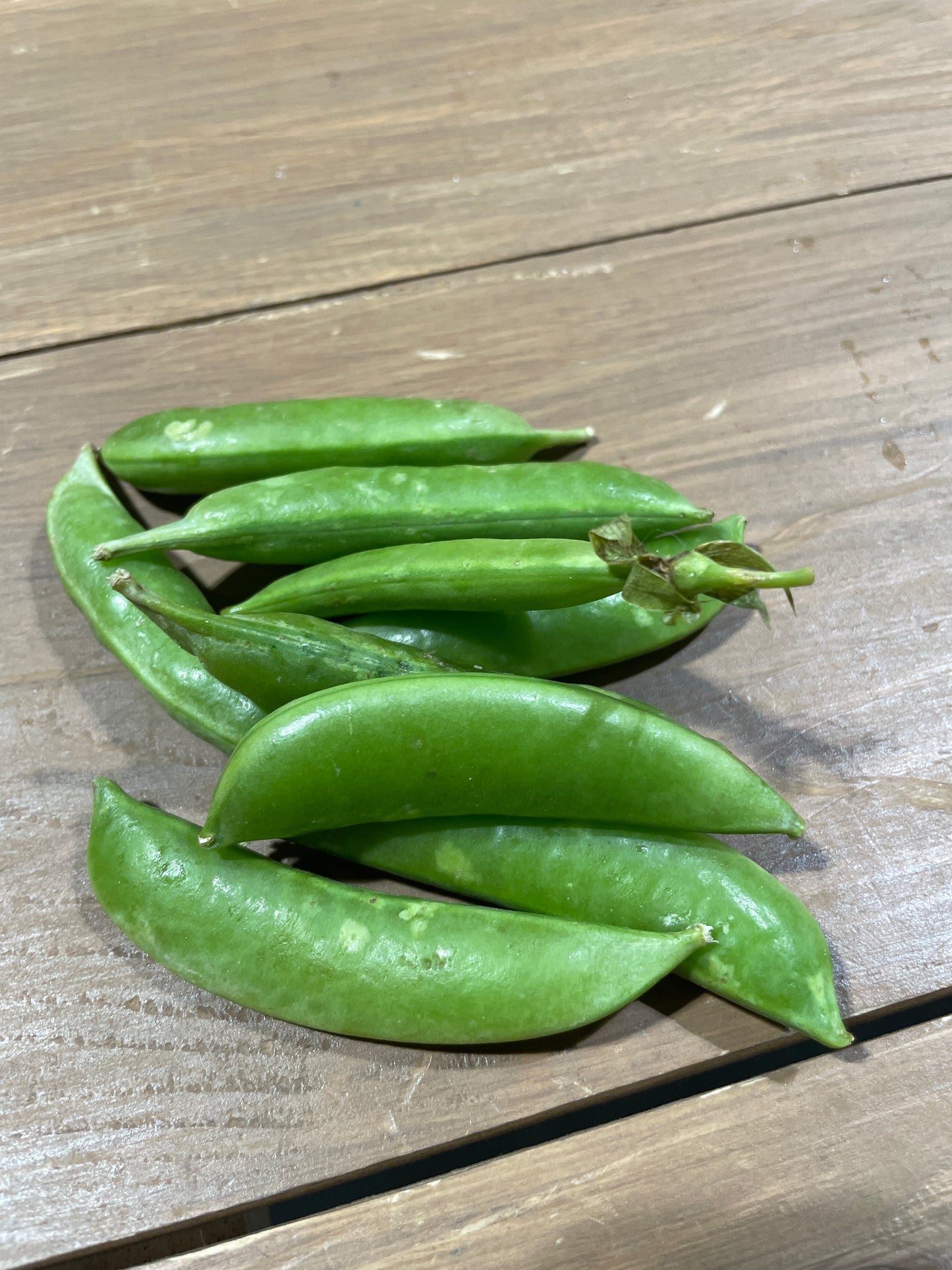 Snap Peas