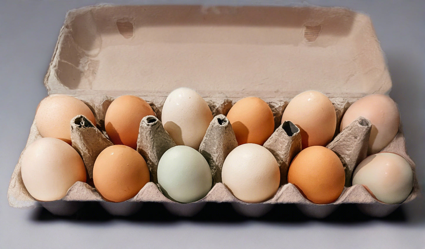 Farm Fresh Eggs