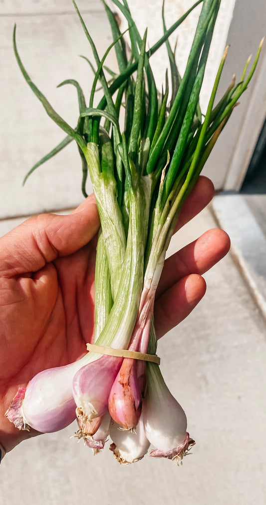 Green Onions