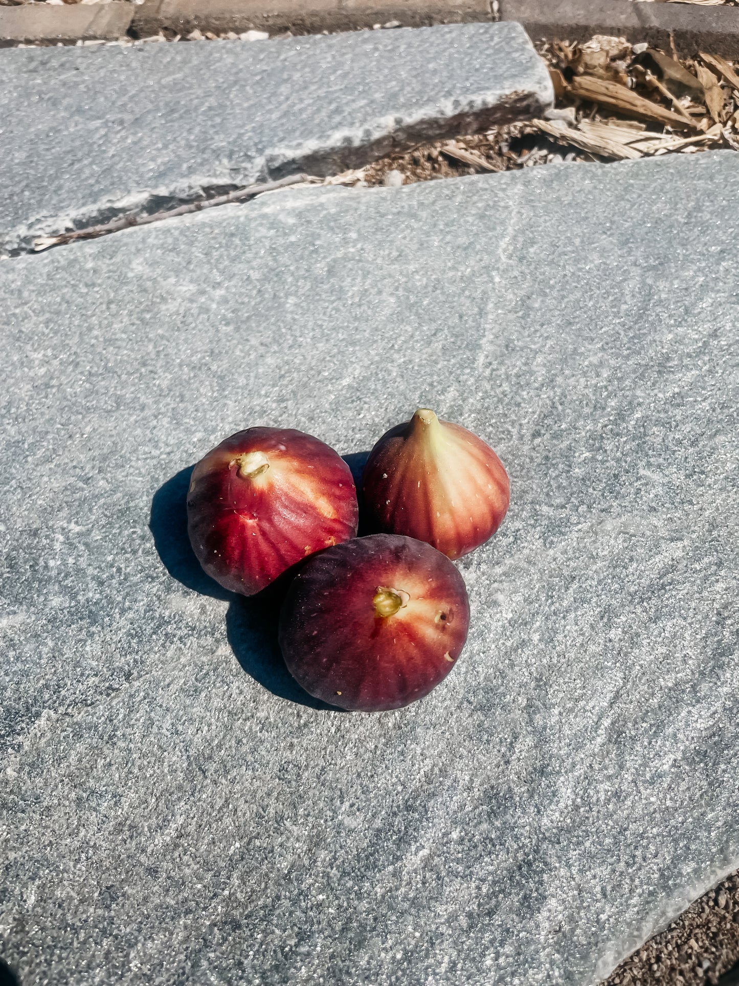 Figs