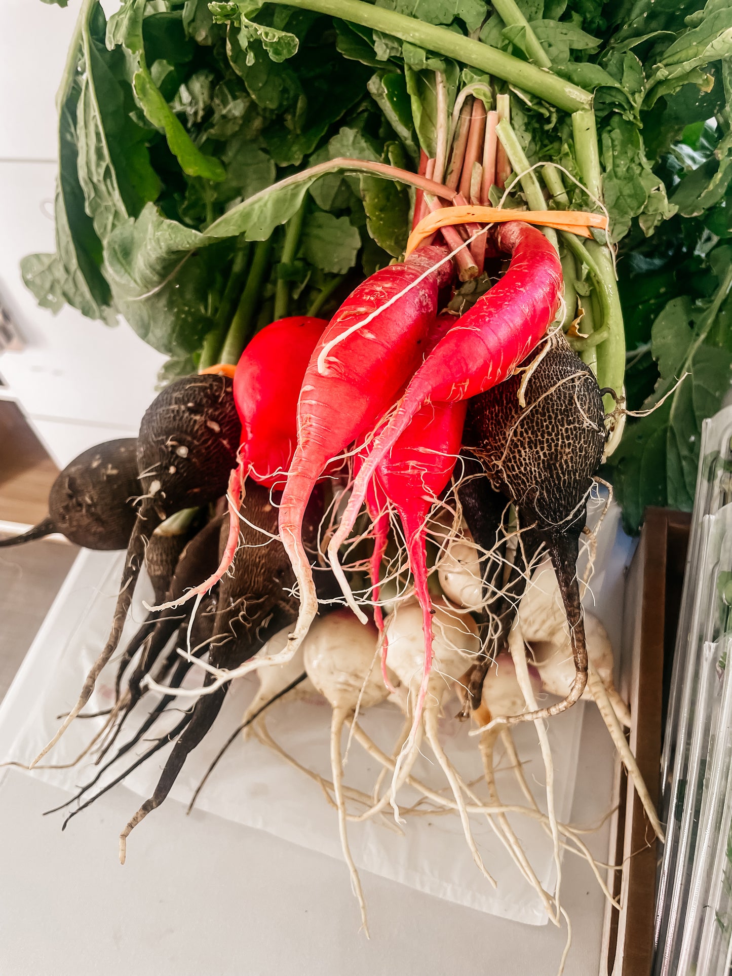 Radishes