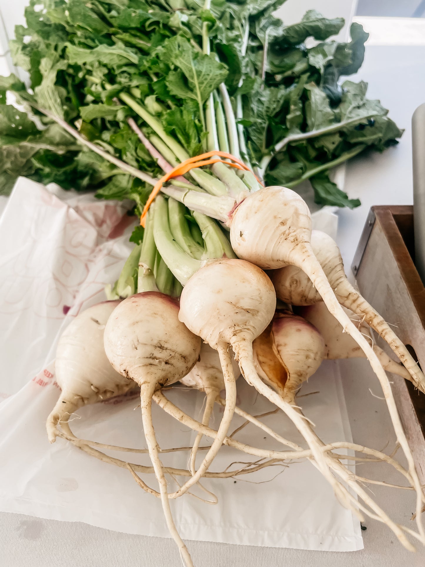 Turnips