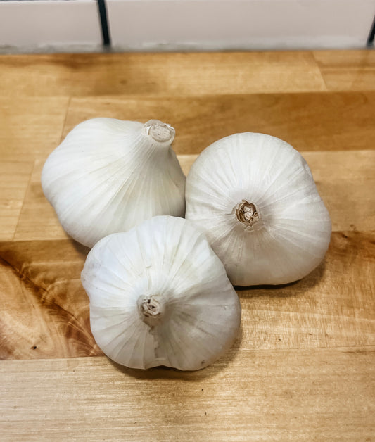 Garlic