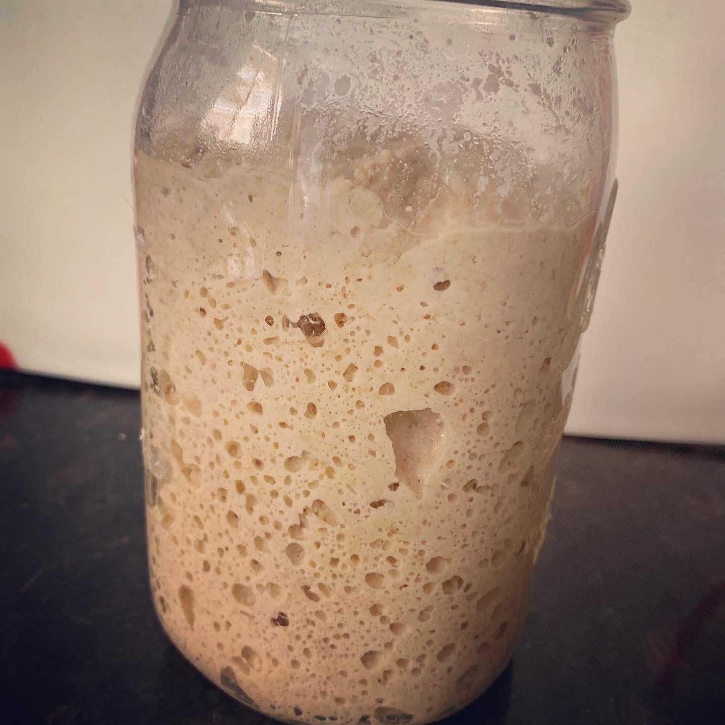 Basic Sourdough Starter
