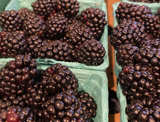 Conventional Blackberries