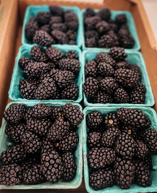 Half Flat Conventional Blackberries