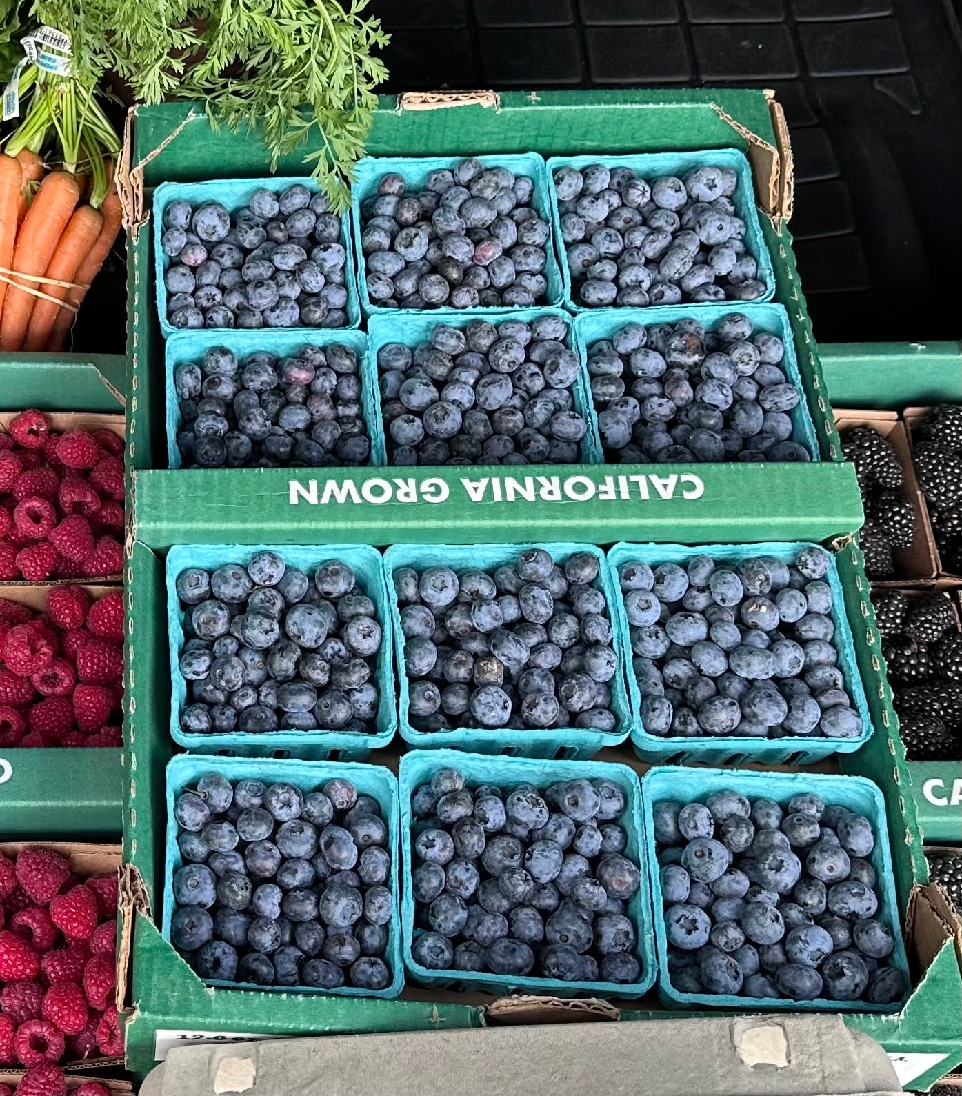 Full Flat Conventional Blueberries