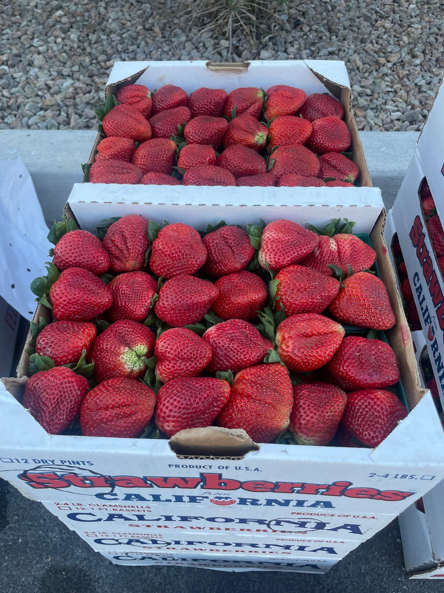 Full Flat Conventional Strawberries