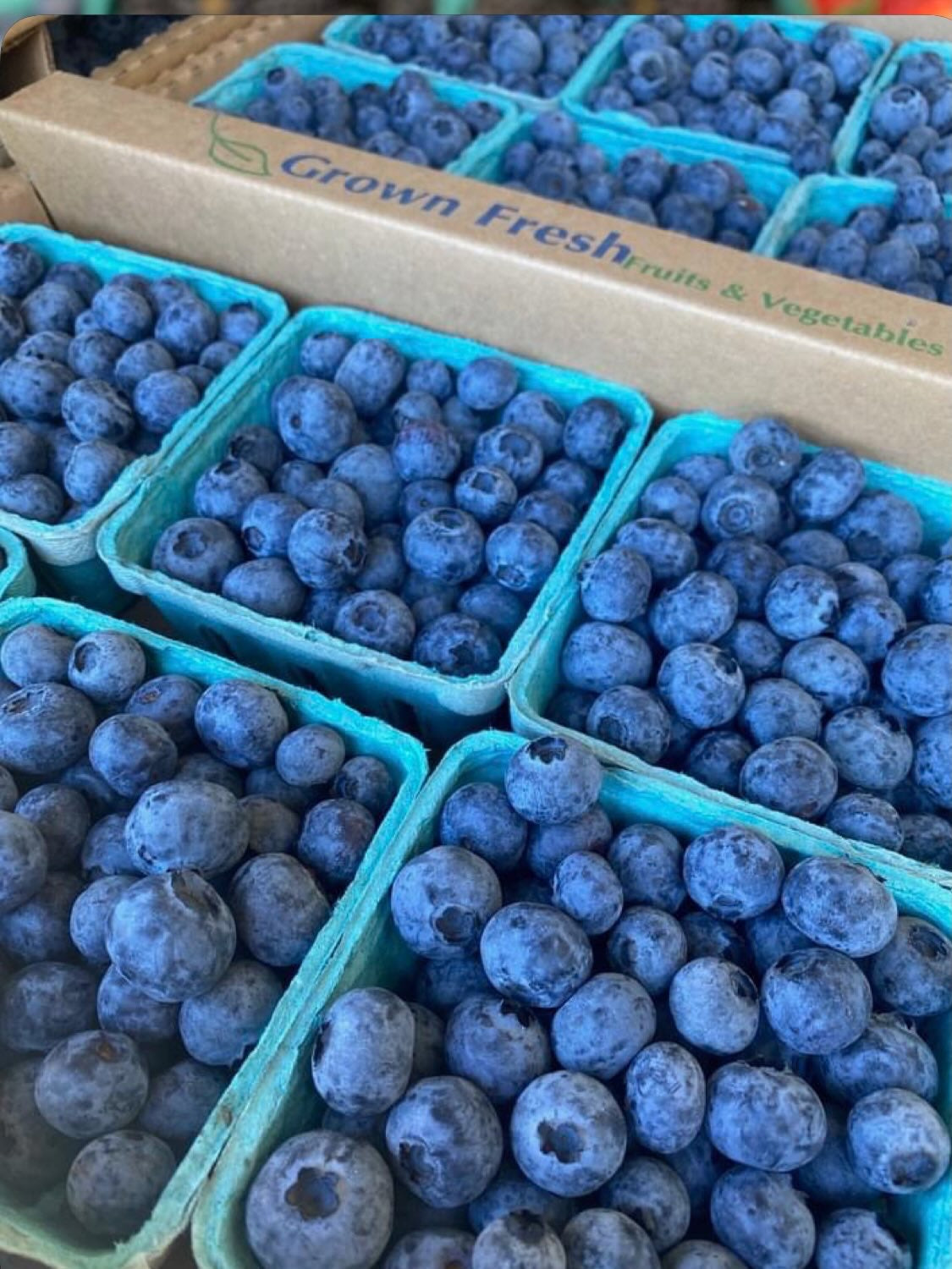 Full Flat Conventional Blueberries