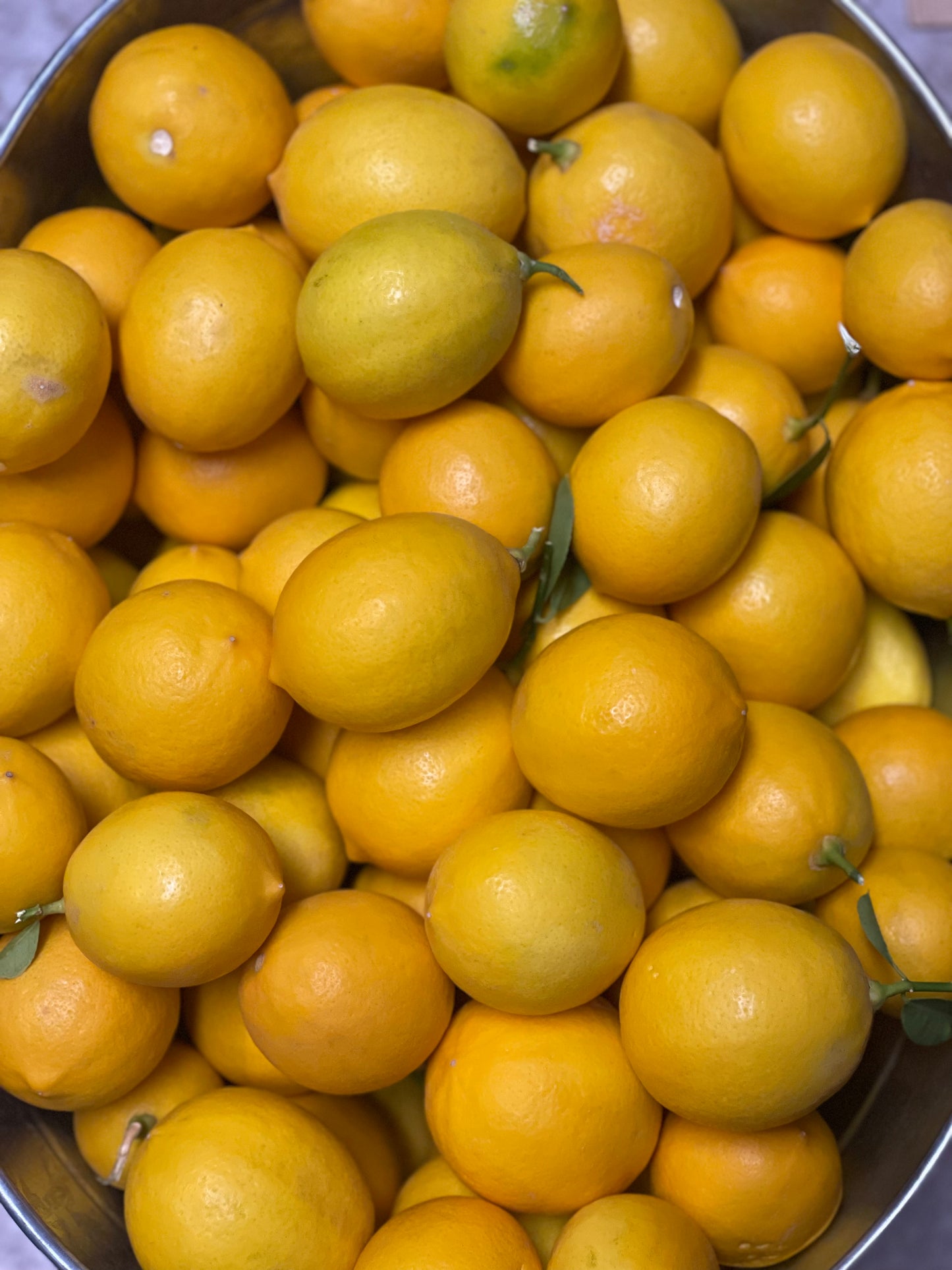 Meyer Lemons