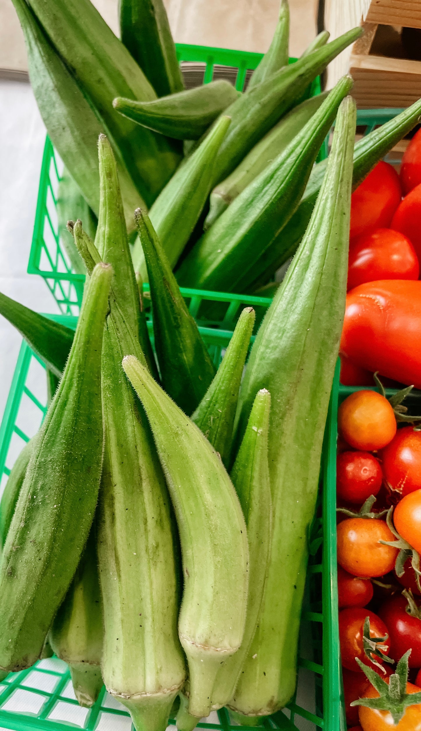 Okra