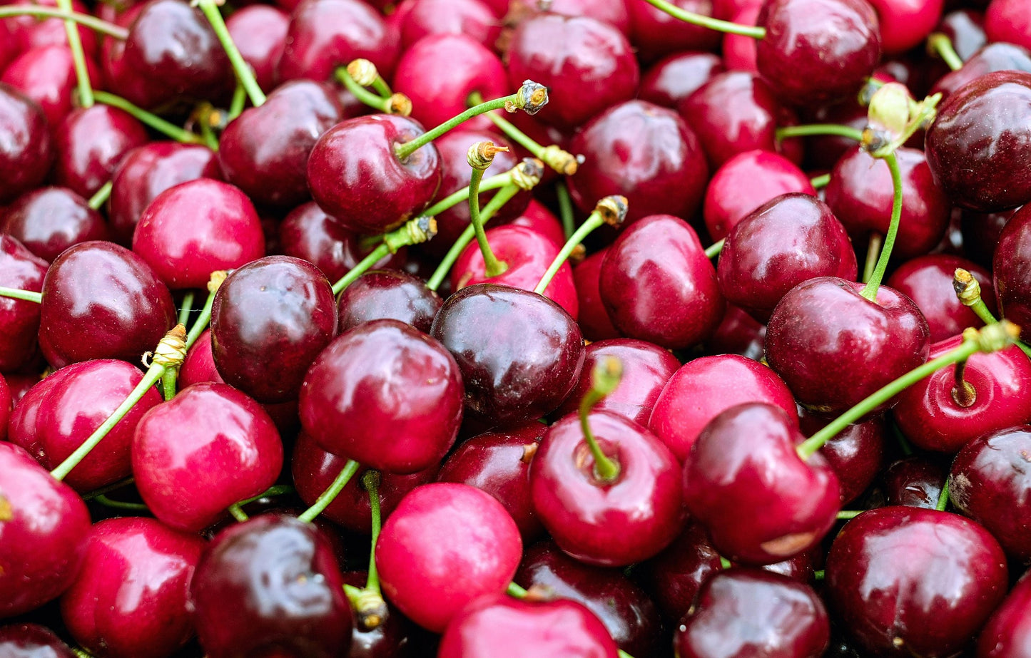 Cherries 4 lbs