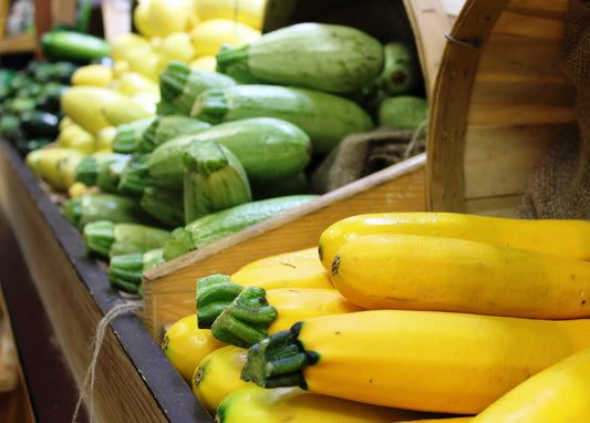 Summer Squash Yellow