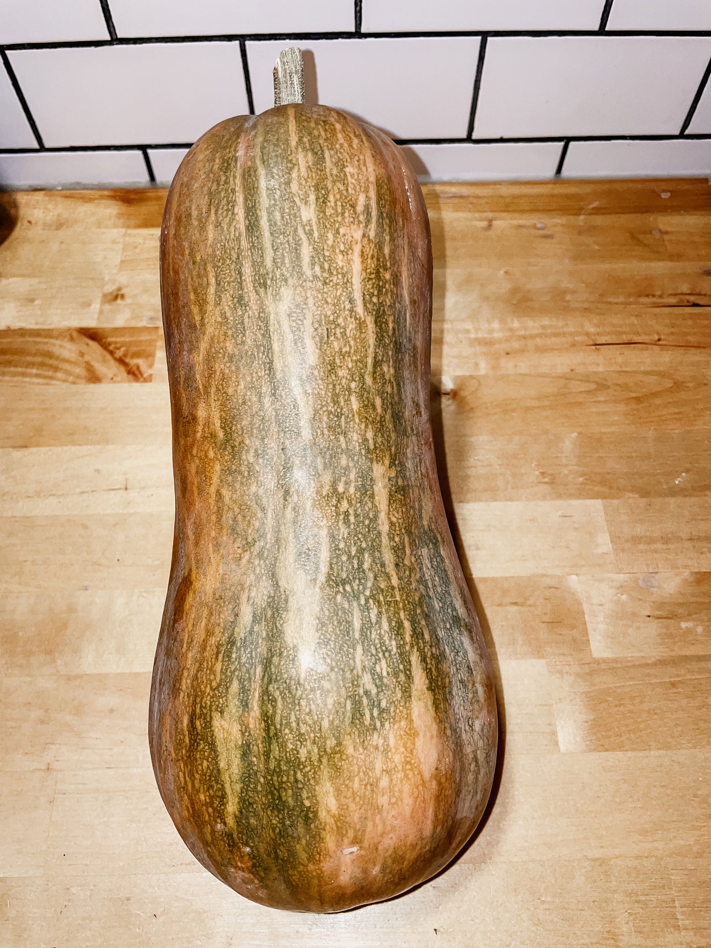 Butternut Squash