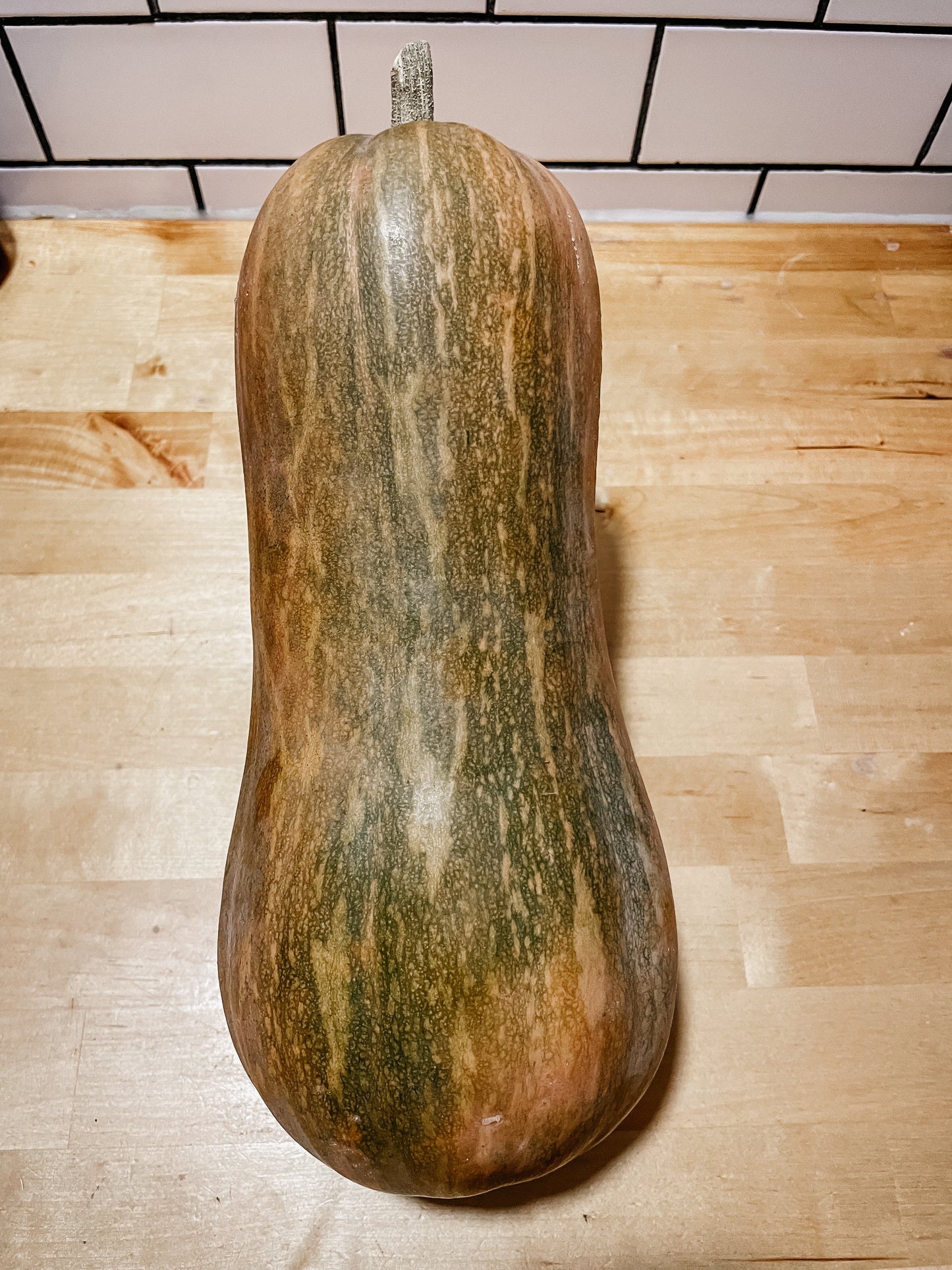 Butternut Squash