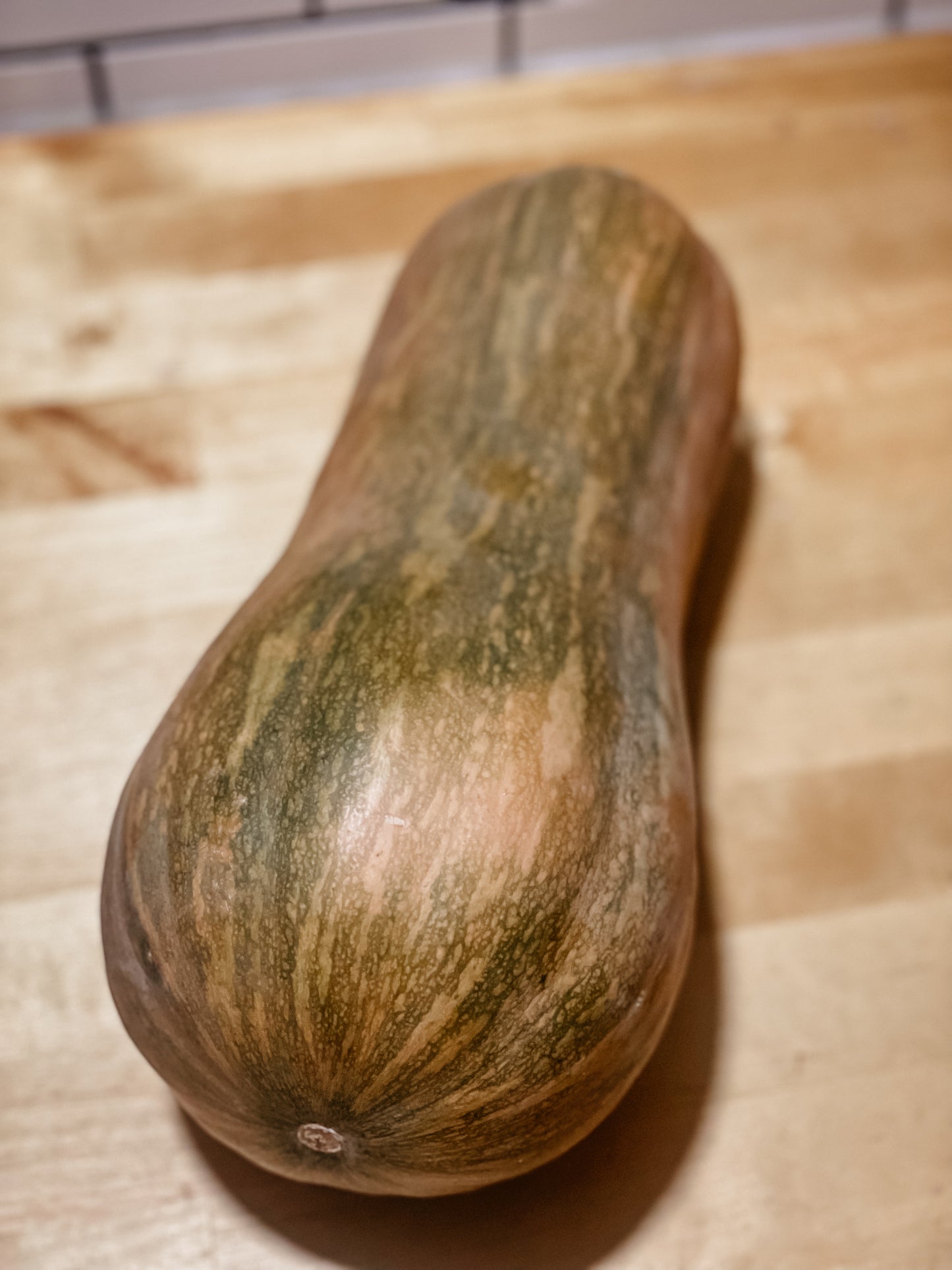 Butternut Squash