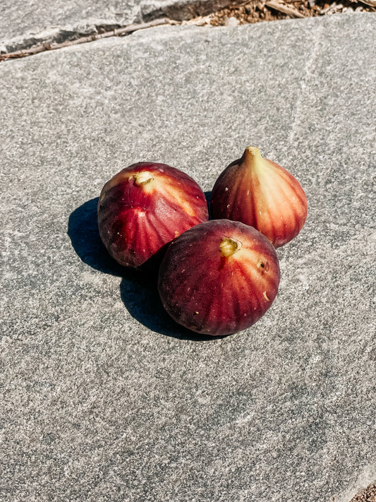 Figs