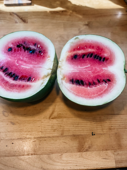 Watermelon, Seeded