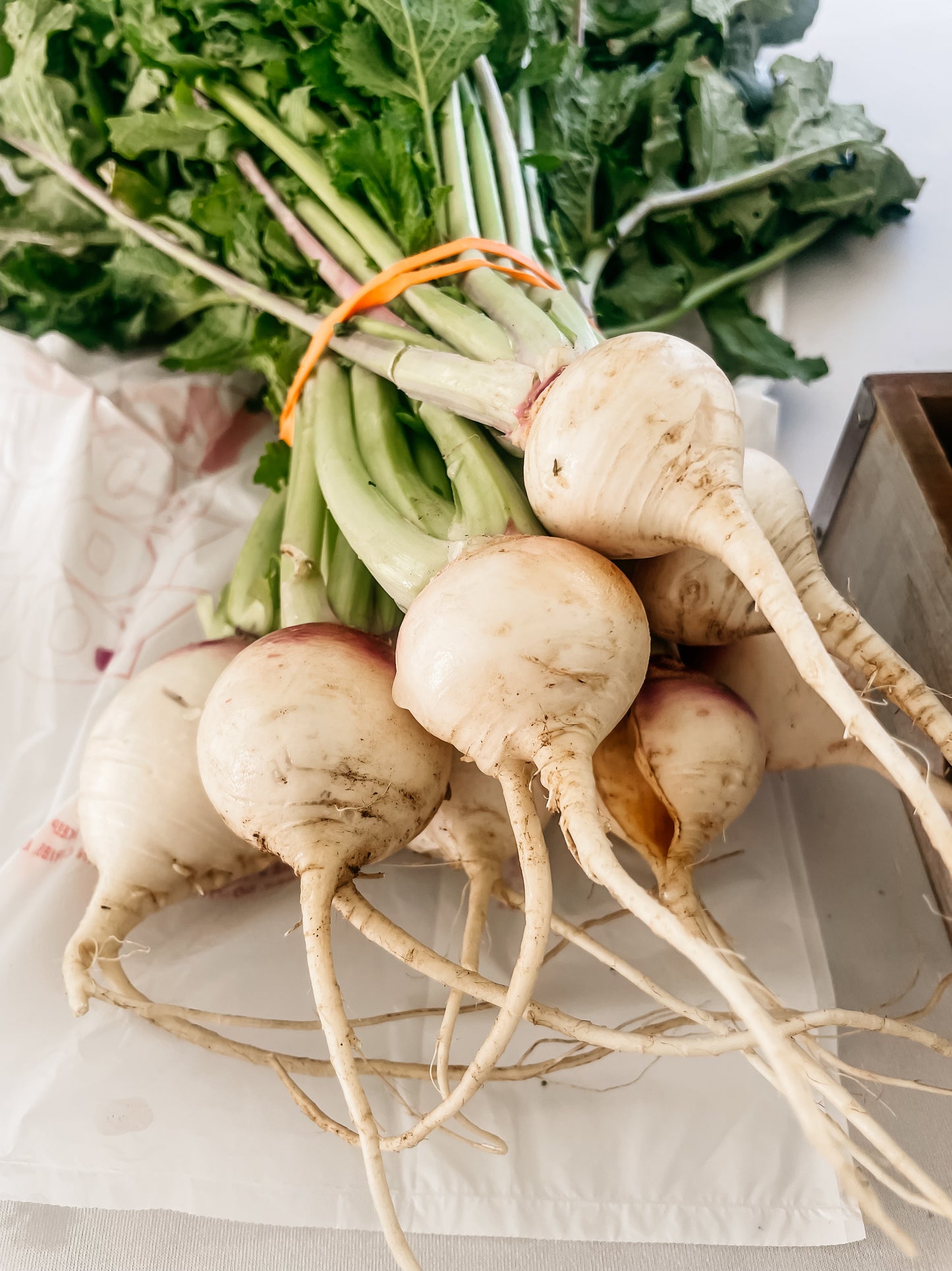 Turnips
