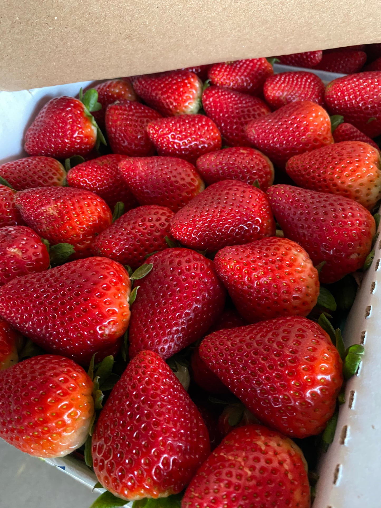 Half Flat Organic Strawberries