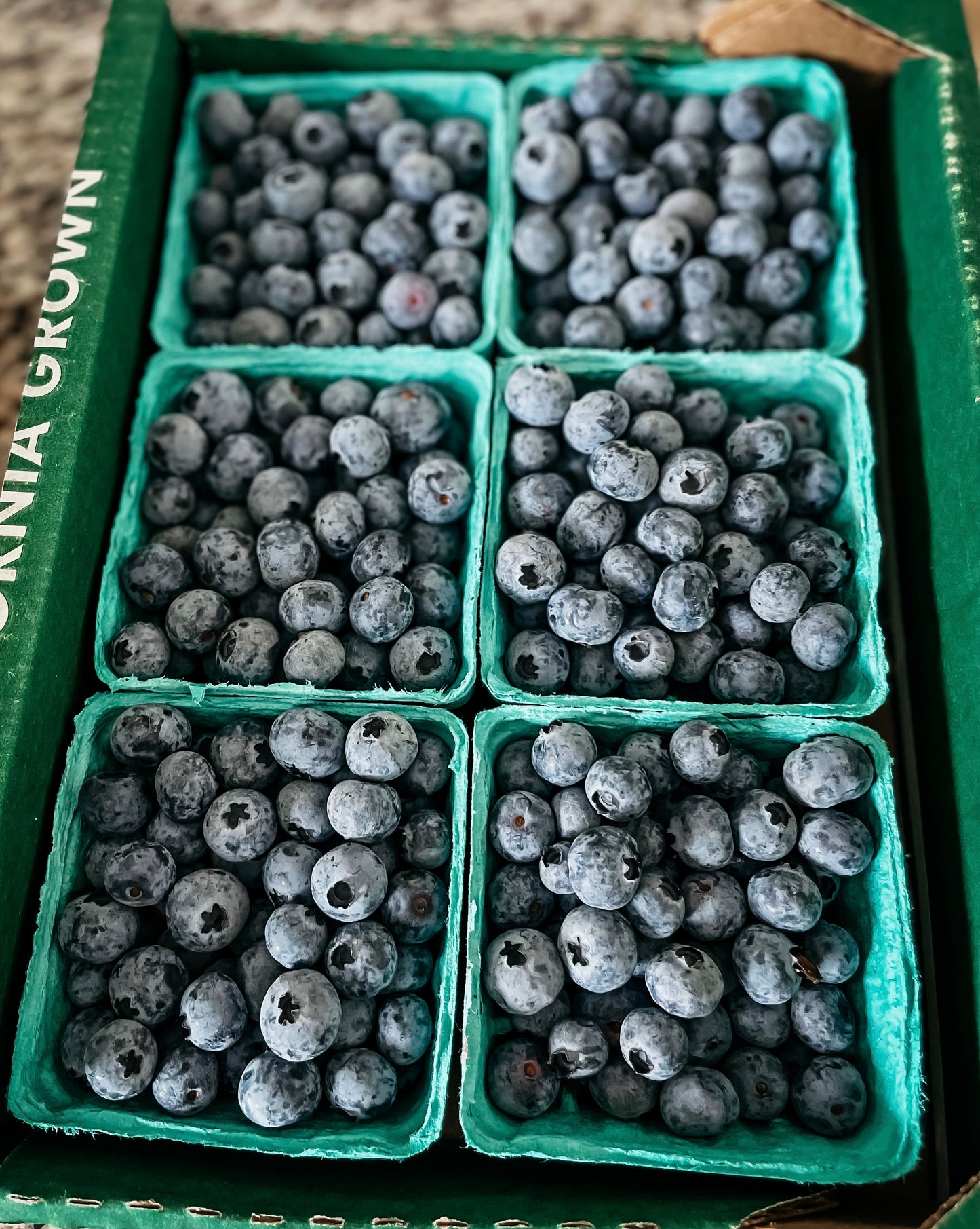 Half Flat Conventional Blueberries